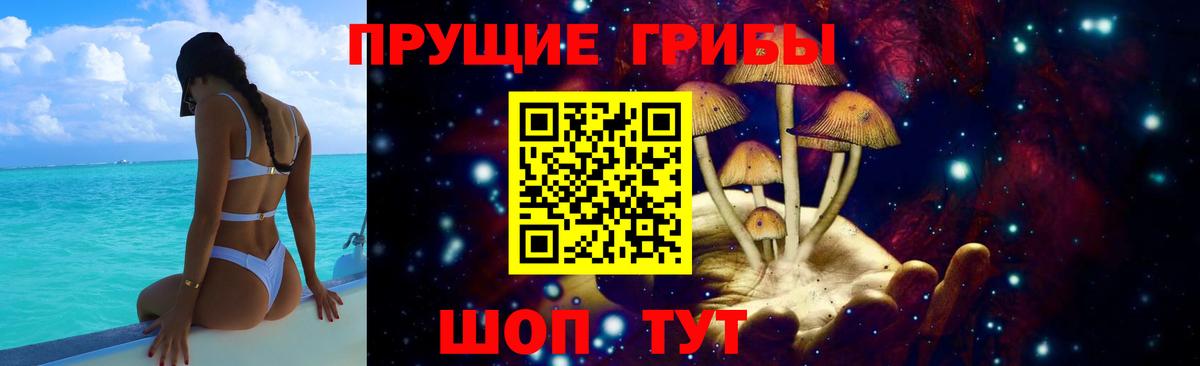 Железноводск  Псилоцибиновые грибы прущие грибы  Вход с VPN  Псилоцибиновые грибы прущие грибы 