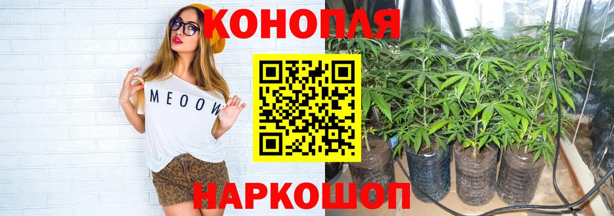 Конопля SATIVA & INDICA  Вход с VPN  Канабис White Widow  Конопля VHQ  Конопля SATIVA & INDICA  Железноводск 